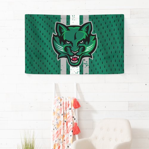 Binghamton University Jersey Banner