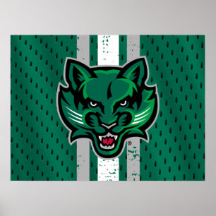Binghamton University Jersey Poster