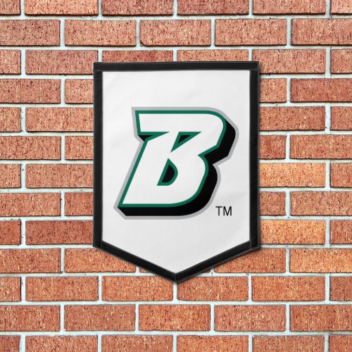 Binghamton University Logo B Pennant