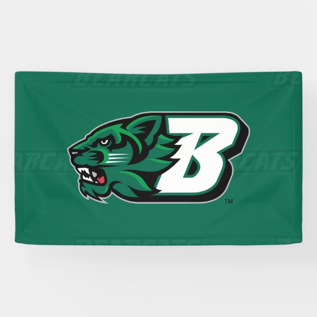 Binghamton University Logo Watermark Banner (Horizontal)