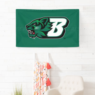 Binghamton University Logo Watermark Banner