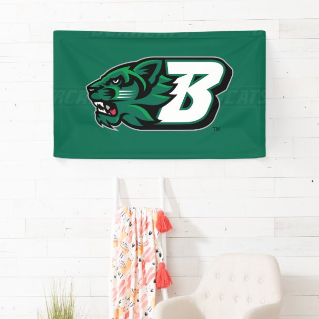 Binghamton University Logo Watermark Banner (Insitu)
