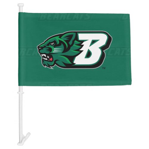 Binghamton University Logo Watermark Car Flag