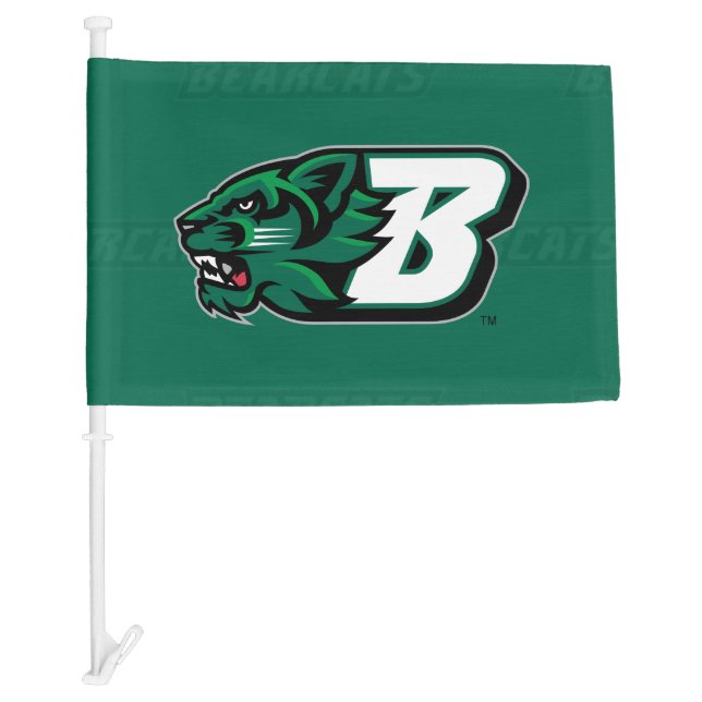 Binghamton University Logo Watermark Car Flag (Front)