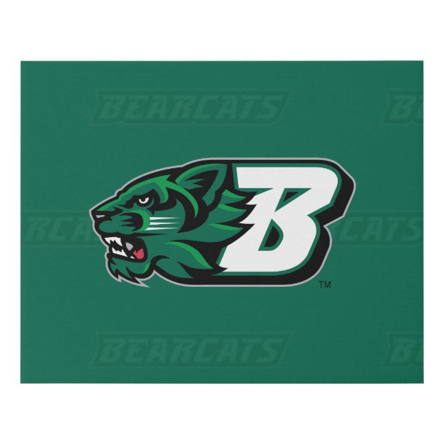 Binghamton University Logo Watermark Faux Canvas Print (Front)