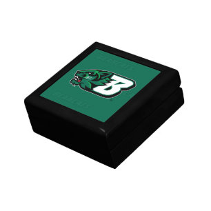 Binghamton University Logo Watermark Gift Box