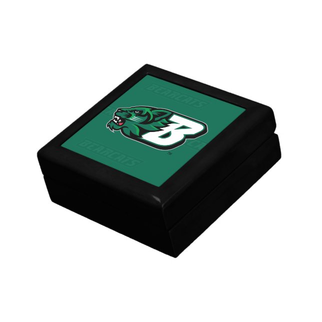 Binghamton University Logo Watermark Gift Box (Side)