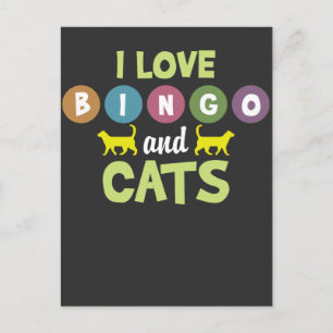 Bingo And Cats Funny Kitten Animal Pet Lovers Postcard