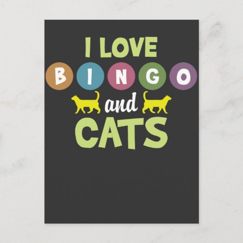 Bingo And Cats Funny Kitten Animal Pet Lovers Postcard