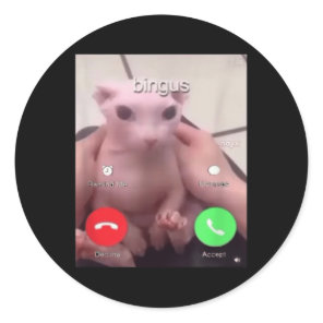 Bingus Is Calling Hairless Sphinx Cat Bingus Cat M Classic Round Sticker