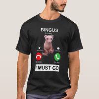 Bingus Is Calling    Hairless Sphynx Cat Meme