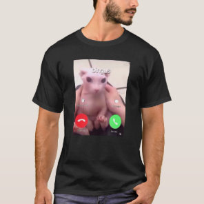 Bingus Is Calling My Beloved Hairless Sphinx Cat 1 T-Shirt
