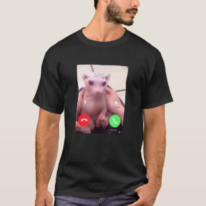 Bingus Is Calling My Beloved Hairless Sphinx Cat 1 T-Shirt