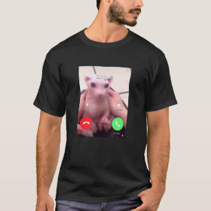 Bingus Is Calling My Beloved Hairless Sphinx Cat 1 T-Shirt