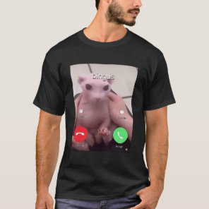 Bingus Is Calling My Beloved Hairless Sphinx Cat T-Shirt