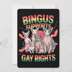 Bingus Supports Gay Rights Sphynx Cat LGBTQ Pride Invitation