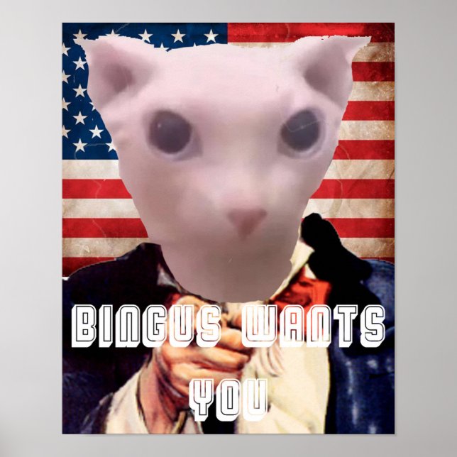 BINGUS WANTS YOU POSTER (Front)