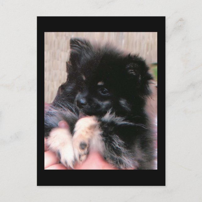 BINKIE POSTCARD (Front)