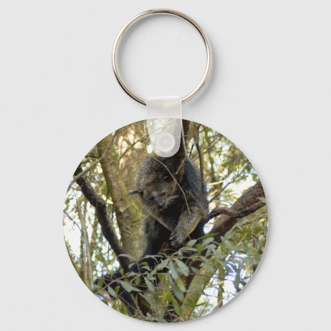 Binturong Bearcat Keychain (Front)