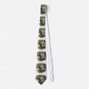 Binturong Neck Tie
