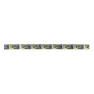 Binturong Satin Ribbon