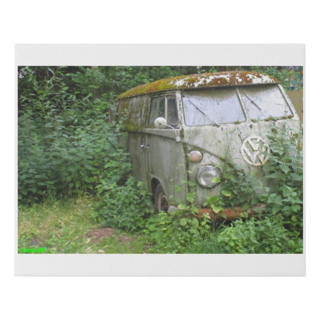 BioBus! - Faux Canvas Print (Front)