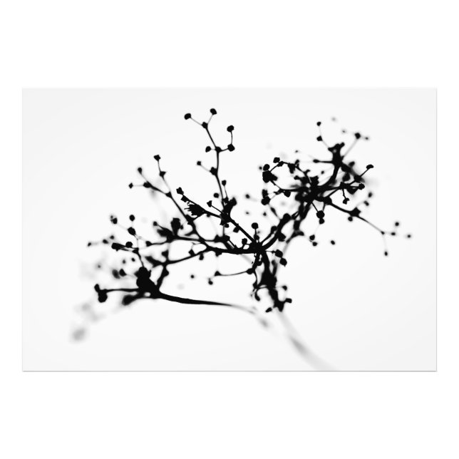 Biochemistry of winter photo print (Front)