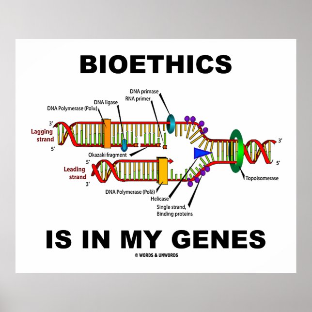 Bioethics Is In My Genes (DNA Replication) Poster (Front)