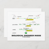 Biological Engineer Inside (Front/Back)