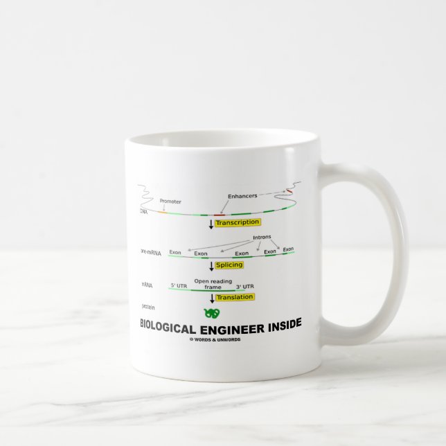 Biological Engineer Inside Coffee Mug (Right)