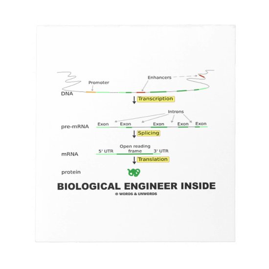 Biological Engineer Inside Notepad