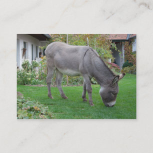 Biological Lawn-Mower On Four Hooves Business Card
