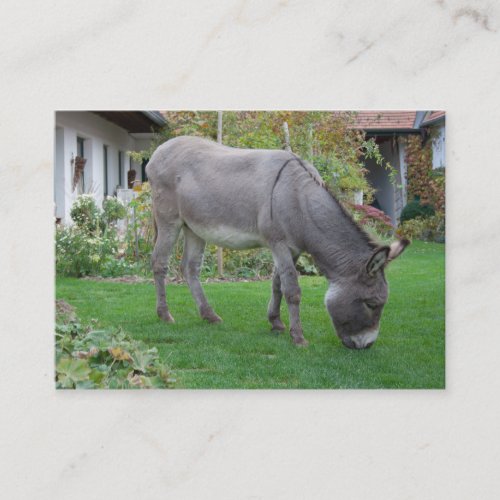 Biological Lawn_Mower On Four Hooves Business Card