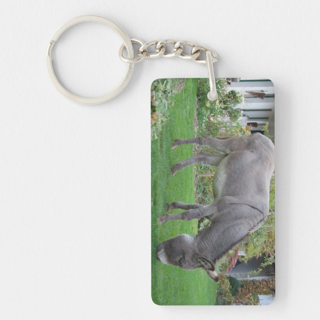 Biological Lawn-Mower On Four Hooves Keychain (Front)