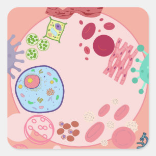Biology Cells Sticker – Cute Colorful Cell Science
