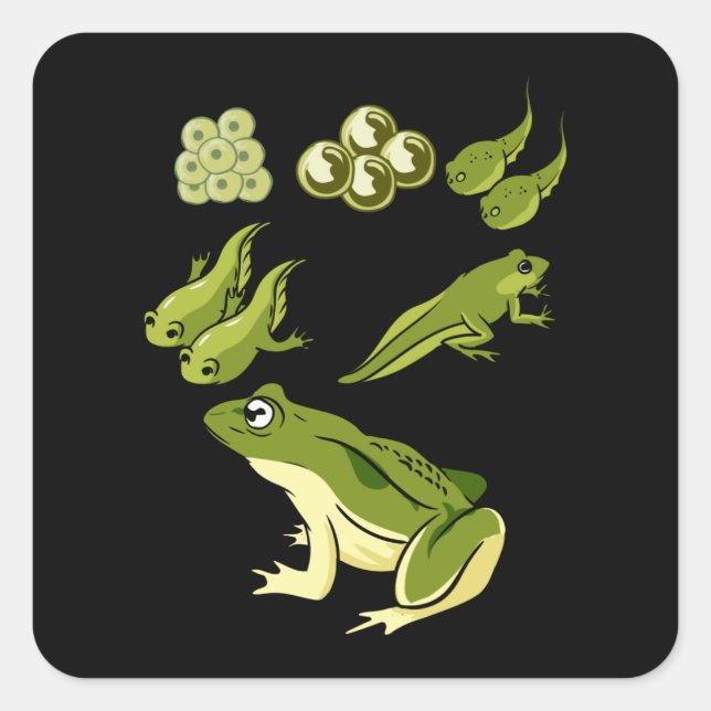 Biology - Frog Lifecycle Square Sticker (Front)