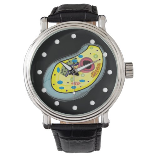 Biology Human Cell Art Watch