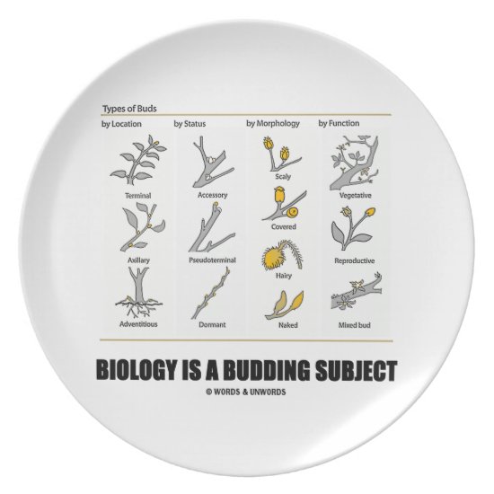 Biology Is A Budding Subject (Types Of Buds) Plate