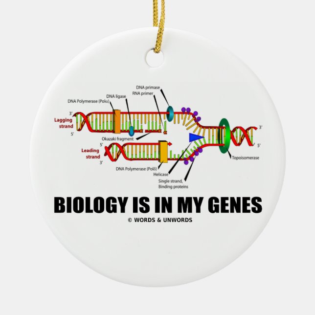 Biology Is In My Genes (DNA Replication) Ceramic Ornament (Front)