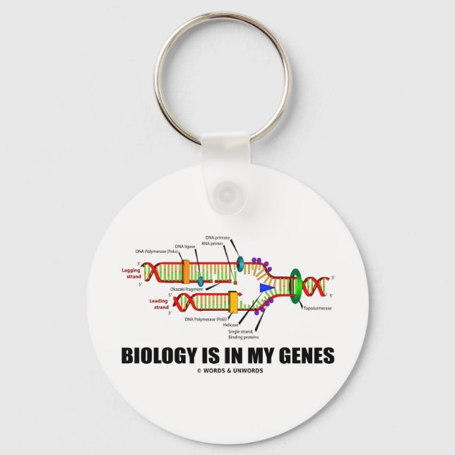 Biology Is In My Genes (DNA Replication) Keychain (Front)