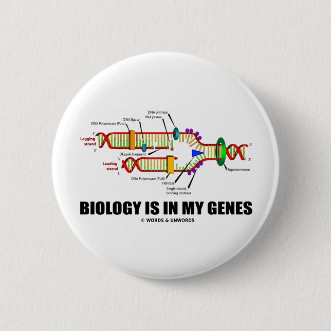 Biology Is In My Genes (DNA Replication) Pinback Button (Front)