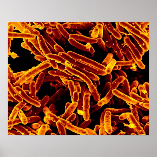 biology microbiology abstract art poster canvas (Front)