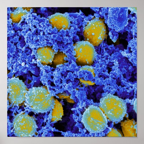 biology microbiology abstract art poster or canvas