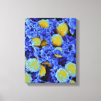biology microbiology abstract art poster or canvas print