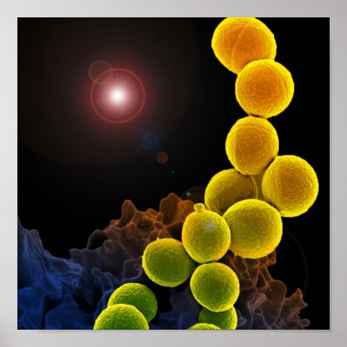 biology microbiology abstract for poster or canvas