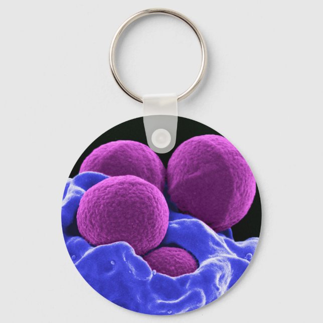 biology microbiology gift for students teachers keychain (Front)