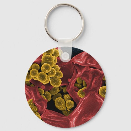 biology microbiology gifts for teachers students keychain