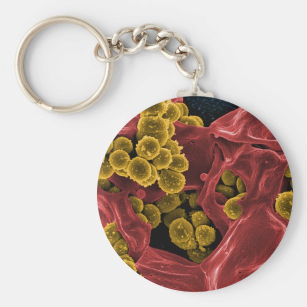 Personalized Microbiology Teacher Gifts on Zazzle