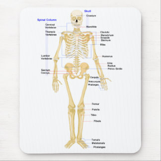 Biology Mouse Pad