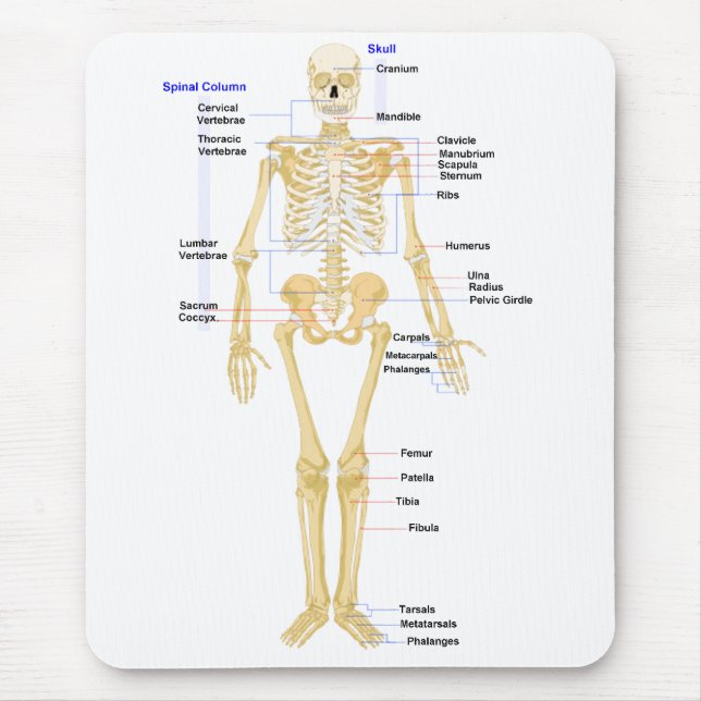 Biology Mouse Pad (Front)